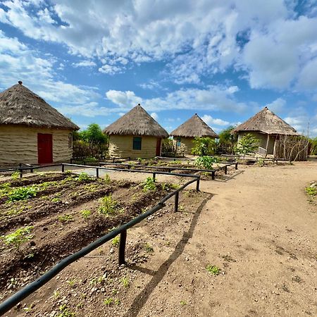 Maasai Eco Boma & Lodge - Experience Maasai Culture Makuyuni Eksteriør billede
