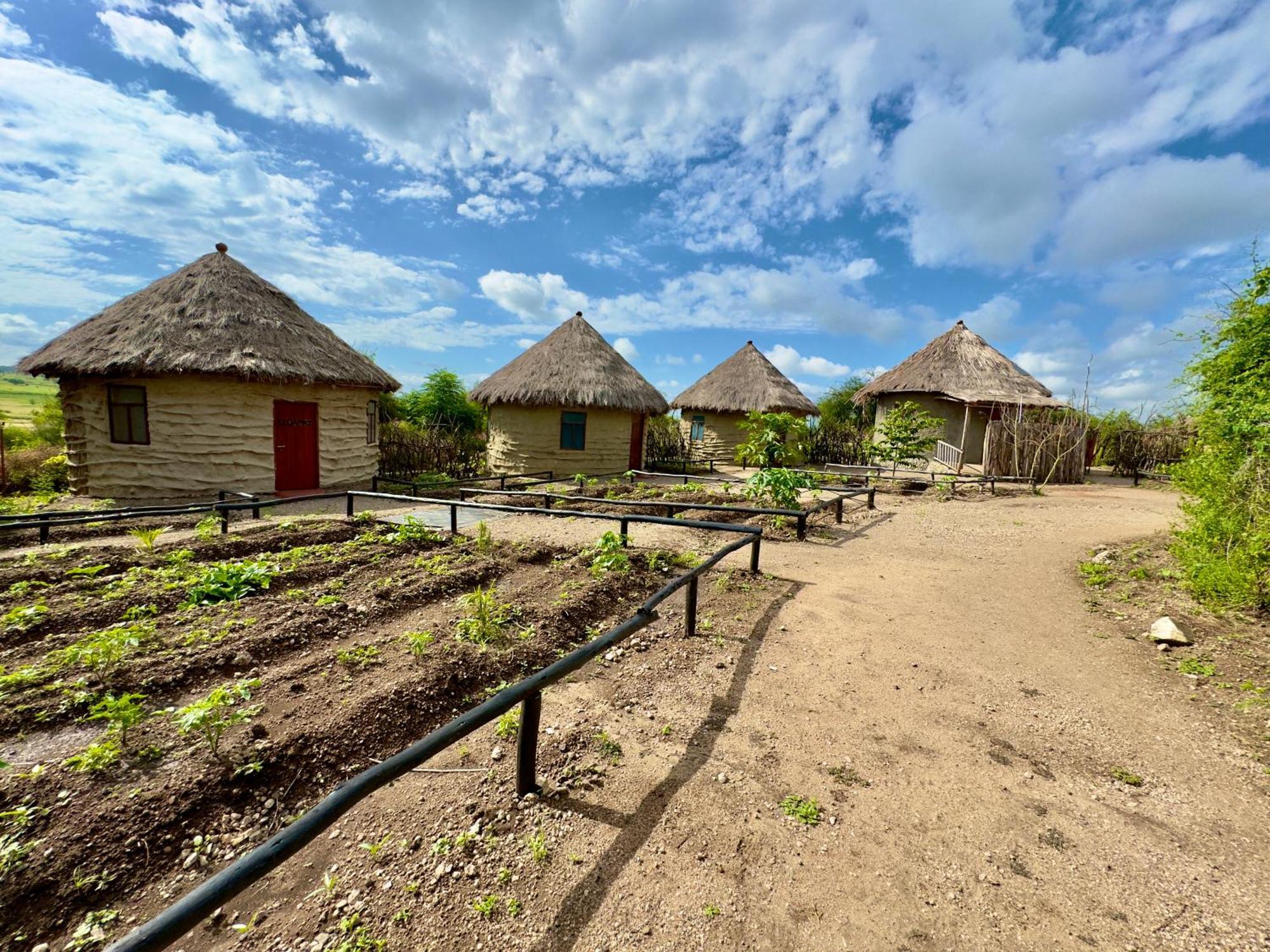 Maasai Eco Boma & Lodge - Experience Maasai Culture Makuyuni Eksteriør billede