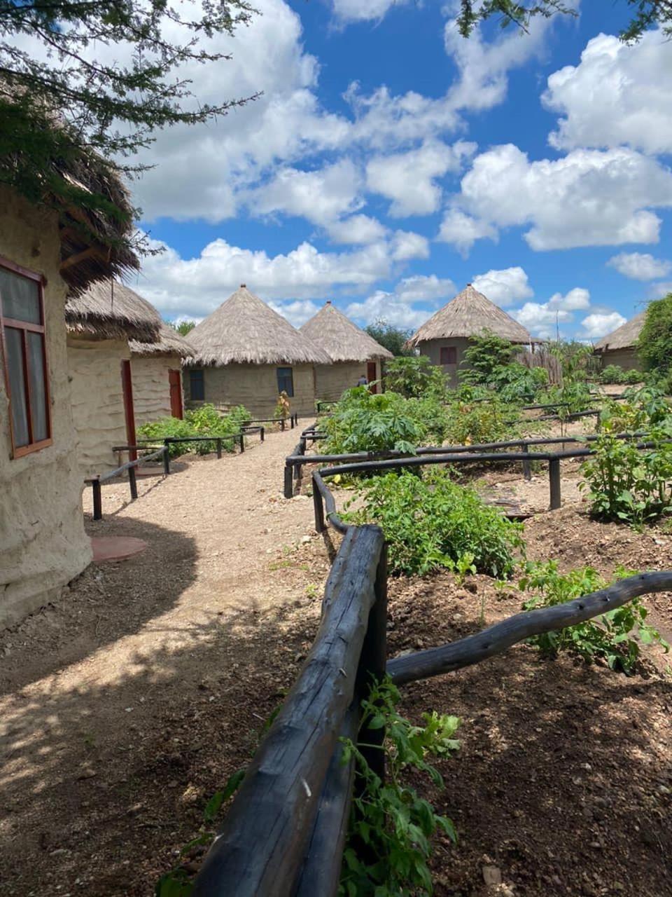 Maasai Eco Boma & Lodge - Experience Maasai Culture Makuyuni Eksteriør billede